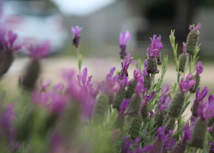 Dom wakacyjny Idassa